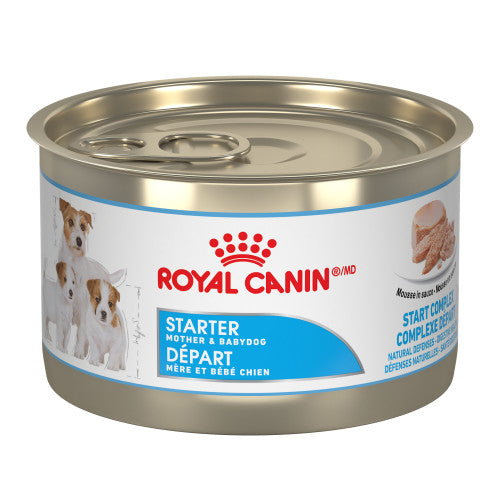 Royal Canin STARTER MOUSSE – nourriture en conserve pour chiots For Discount