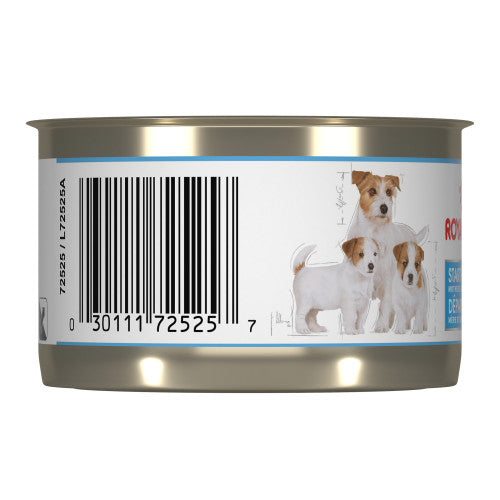 Royal Canin STARTER MOUSSE – nourriture en conserve pour chiots For Discount